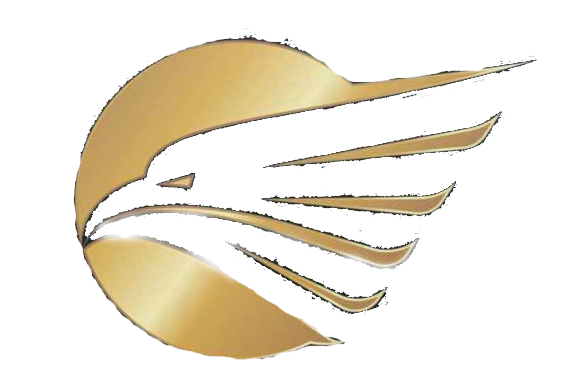 Desert-Falcon-logo